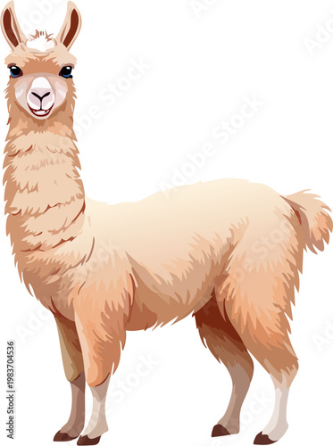 Realistic Alpaca Standing Full Body with Fluffy White Wool