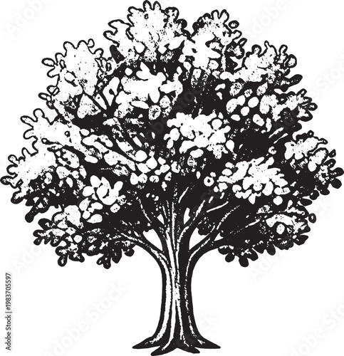 Vintage Hand Drawn Oak Tree Illustration, The organic patterns and bold linework give it a timeless, rustic feel suitable for environmental, genealogical, or heritage-themed designs.