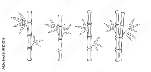 Four stylized bamboo stalks with leaves in a simple line plant nature green