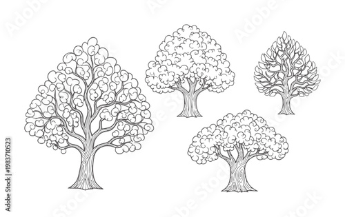 Four stylized trees with intricate swirling foliage and textured trunks
