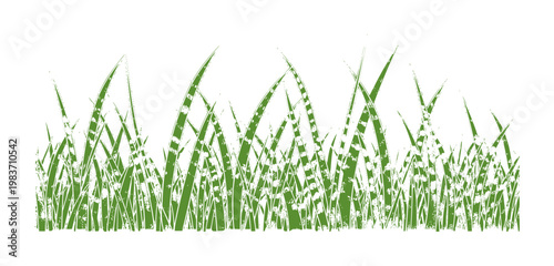 Green grass blades with textured brush strokes white nature plant