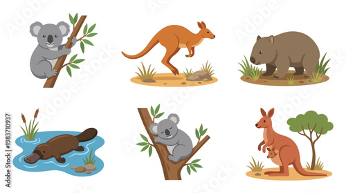 Australian animals including koalas, kangaroos, wombat, and platypus in various natural settings