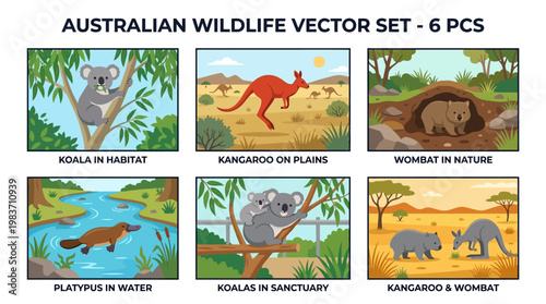 Australian wildlife vector set with six illustrations of native animals in their natural habitats and environments perfectly
