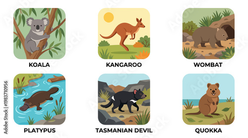Australian wildlife icons featuring a koala, kangaroo, wombat, platypus, Tasmanian devil, and quokka in their natural habitats