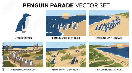Penguin parade vector set with little penguins in various scenes