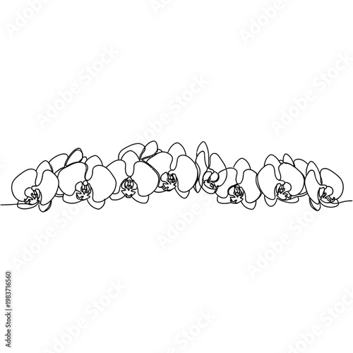 delicate single line drawing of orchid flowers in a row minimalist floral art
