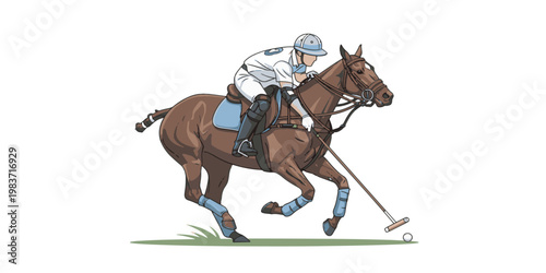 Polo Horse Vector Equestrian Sport Rider Illustration