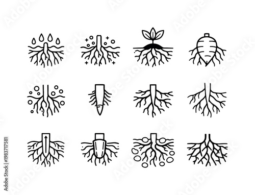 Root Functions. Line icon set of Root Functions: water absorption roots, mineral uptake roots, plant anchoring soil, food storage roots, root respiration, root