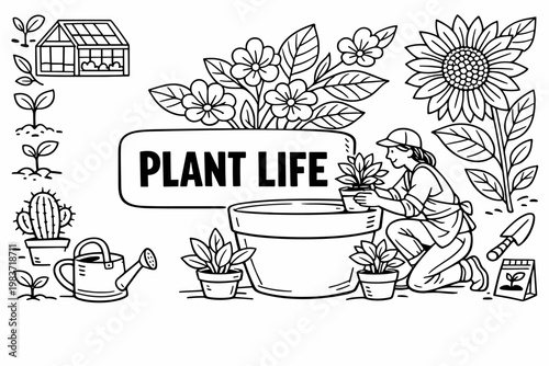 Botanical Plant Collection. Line icon set of plants and floral: potted plant, cactus, blooming flower, leaf branch, sunflower, rose, tulip, tree, seed sprout,