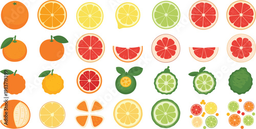Collection of colorful citrus fruits and slices in flat design style