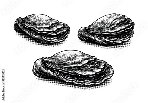 Oyster hinge A realistic oyster hinge with layered shell connection and structural thickness, displayed as the same hinge area in three different views. Black