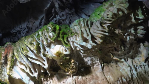 Close up macro shows moss growing on moist limestone layers along damp cave wall surface. Fine textures reveal wet rock details natural mineral structure and organic growth in dark underground space.