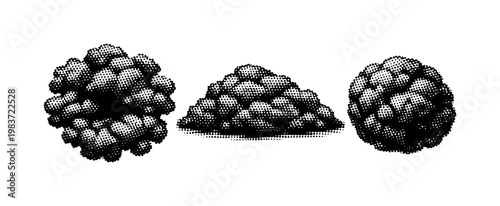 Algae bloom clustered algal mass shown as top-down view, side profile, and compact spherical clump view representing the same dense aggregation with organic