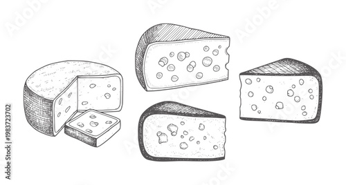 Hand drawn cheese assortment with holes and a slice food dairy vintage black