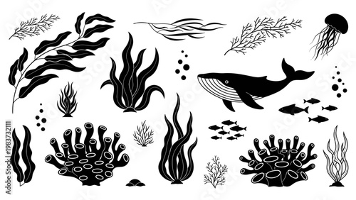 Oceanic Life Silhouettes - Whales, Fish, Jellyfish, Seaweed, and Coral Reefs.