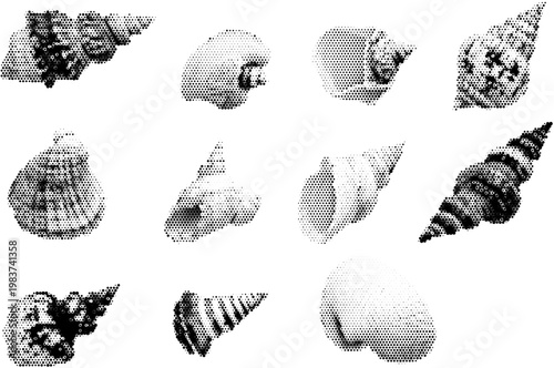 Halftone patterned sea shells display in retro style. Vector png isolated on transparent halftone