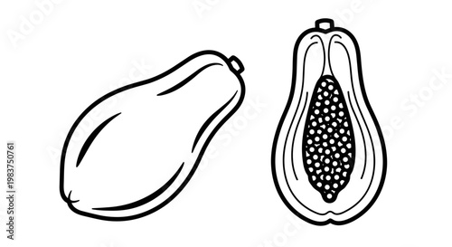 A minimalist vector illustration of a whole and halved papaya on a white background