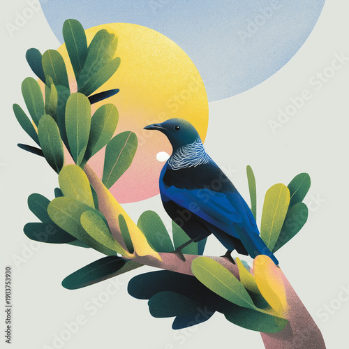 New Zealand Tui bird in modern Pacific ecology illustration. Aotearoa nature concept with textured risograph design. Picturesque