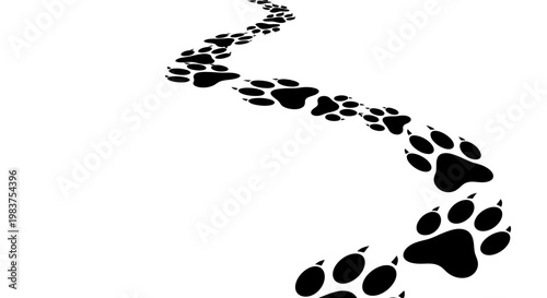 Black Paw Prints Path Trail Following Animal Footprints Track