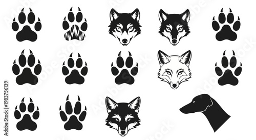 Collection of Wolf, Fox, Dog Paw Prints and Silhouettes