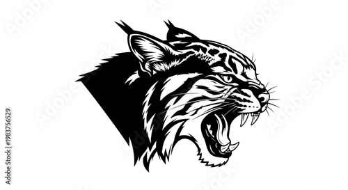 Ferocious Lynx Roaring Mouth Open Showing Sharp Fangs