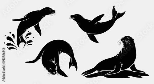 Four Black Silhouettes of Seals in Various Poses with Water Splash