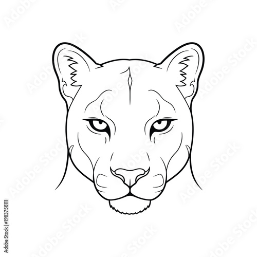 Close up of a mountain lion's face with intense gaze