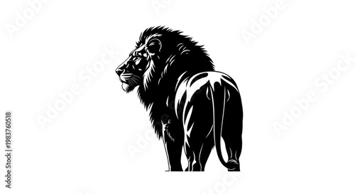 Majestic Lion Silhouette Looking Back with Powerful Mane and Tail