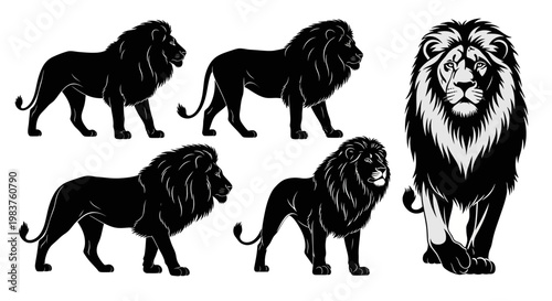 Majestic Lions Collection: Black Silhouette and Detailed Portrait Illustrations