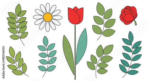 Adobe Illustrator Artwork