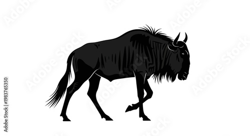 Silhouette of a Black Wildebeest Walking with Horns and Mane