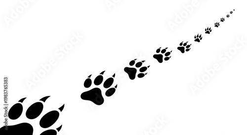 Sequential Black Animal Paw Prints Trail Across White Background