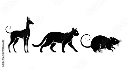Silhouettes of a Sighthound Dog, a Cat, and a Rat in Motion