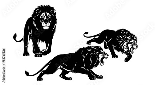 Three Black Lions: Majestic Roaring Hunter, Powerful Stalker, and Calm Observer