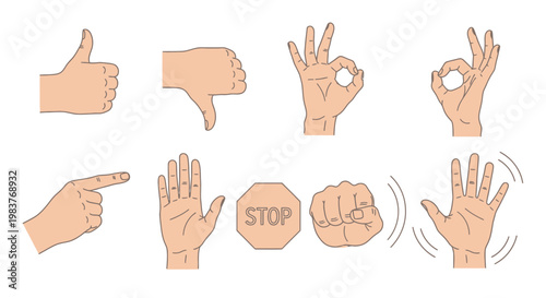 Set of Hand Gestures and Signals: Thumbs Up, Down, OK, Pointing, Stop Sign