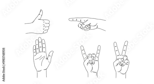 Set of Hand Gestures Drawing: Thumbs Up, Pointing Finger, Open Palm, Rock On, Peace Sign