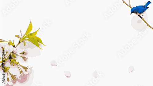 A small blue bird perched on a branch with white flowers against a clean white background with a shallow depth of field.