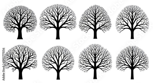 Set of eight bare tree silhouettes with intricate branches.