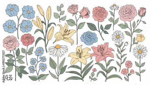 Beautiful Hand Drawn Botanical Flower Collection Elegant Floral Illustrations.
