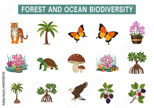 Diverse Forest and Ocean Biodiversity Illustrated Flora, Fauna, and Ecosystems