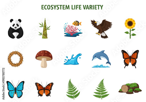 Discover the Vibrant Diversity of Ecosystem Life A Collection of Nature's Wonders