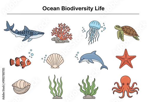 Ocean Biodiversity Life A Collection of Marine Creatures and Ecosystems