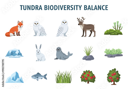 Tundra Biodiversity Balance Exploring the Delicate Ecosystem and its Wildlife Inhabitants