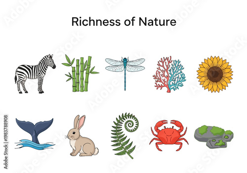 Diverse Collection of Nature Elements Featuring Wildlife Flora and Fauna Illustrations