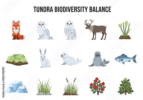 Tundra Biodiversity Balance An Illustrated Guide to Arctic Ecosystems and Wildlife
