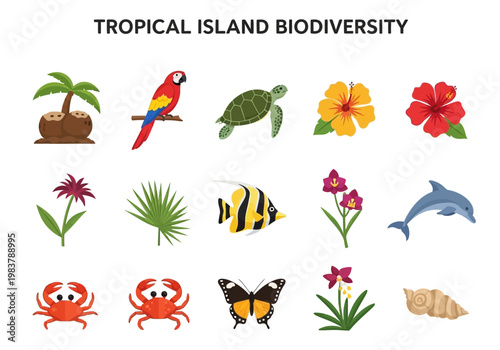 Tropical Island Biodiversity A Vivid Collection of Flora and Fauna