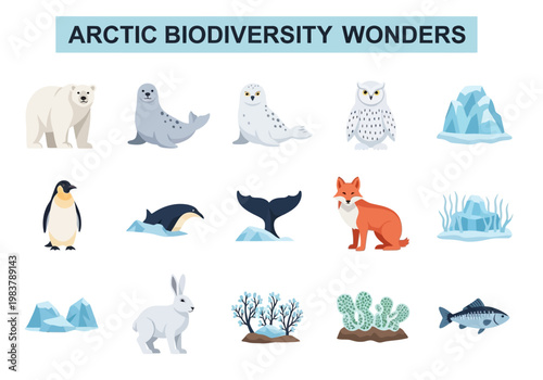 Arctic Biodiversity Wonders A Collection of Arctic Fauna and Flora Illustrations