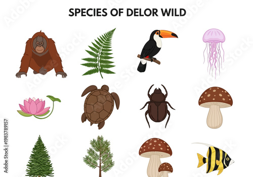 A Collection of Diverse Flora and Fauna Species from Tropical and Temperate Regions