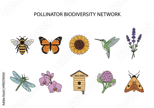 Diverse Pollinator Species and Flora Representing a Biodiversity Network