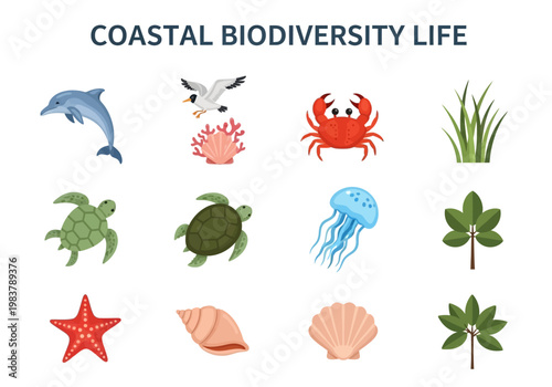 Marine life and plants in coastal ecosystems, a vibrant collection of underwater species